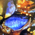 Best V2. Eggplant in Ridgewood, NY